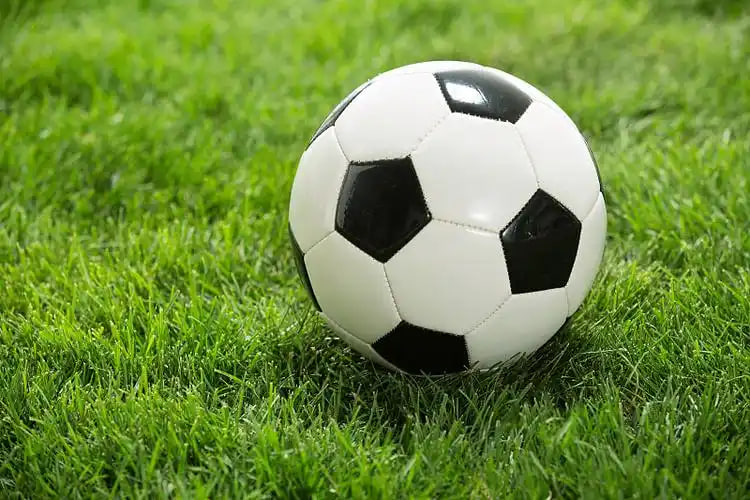 专业预测分析数据看板